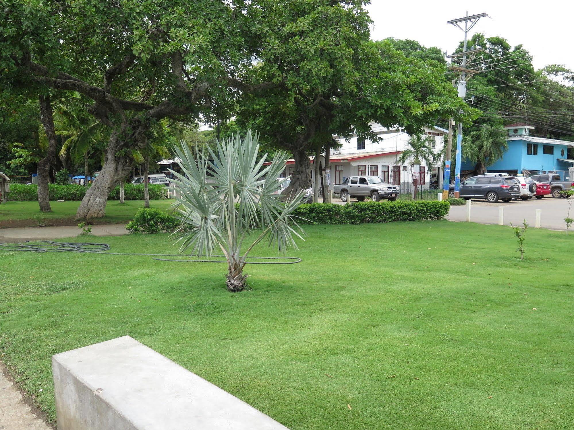 Hotel Savannah Playas del Coco Exteriér fotografie
